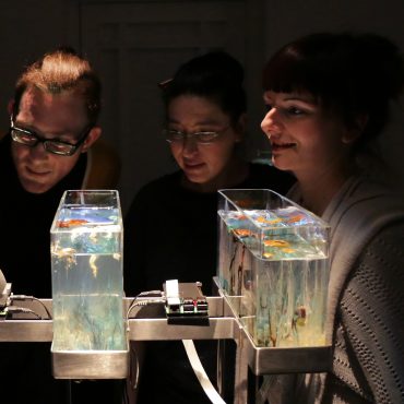 Aleš Hieng – Zergon, Ida Hiršenfelder and Robertina Šebjanič: Sound Disposition / Crystal Gardens 